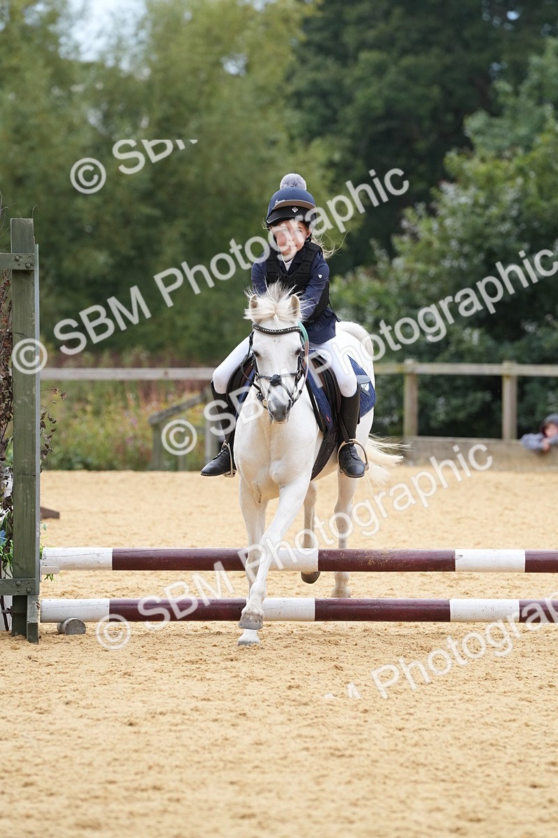 SBM_71731 - J3 - Mini Tour Junior Pony 40cm Championship