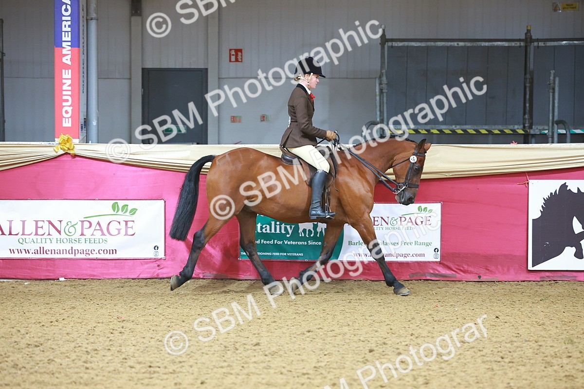 SBM_07603 - Class 101 - HOYS Veteran Qualifier - Ridden Diamond