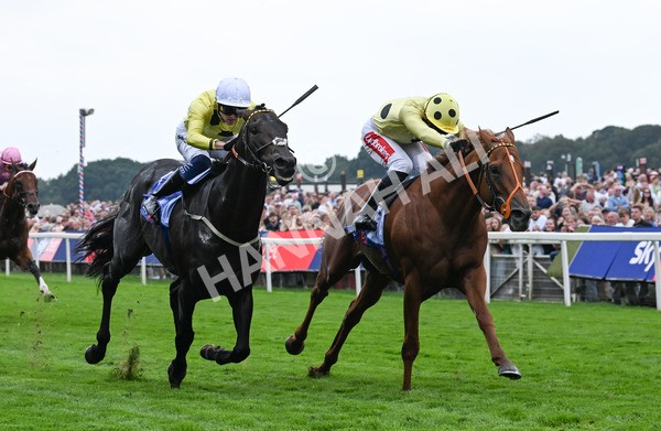 230825-005 King Of Cities - Race 1 1.50pm Sky Bet Strensall Stakes