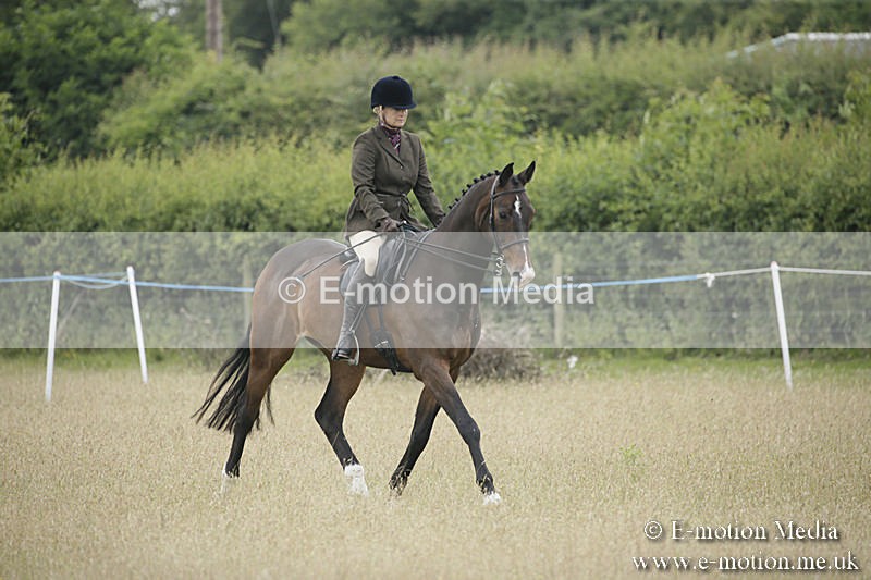 B230619-0326 - Bourne Valley Riding Club Summer Show 23/06/19