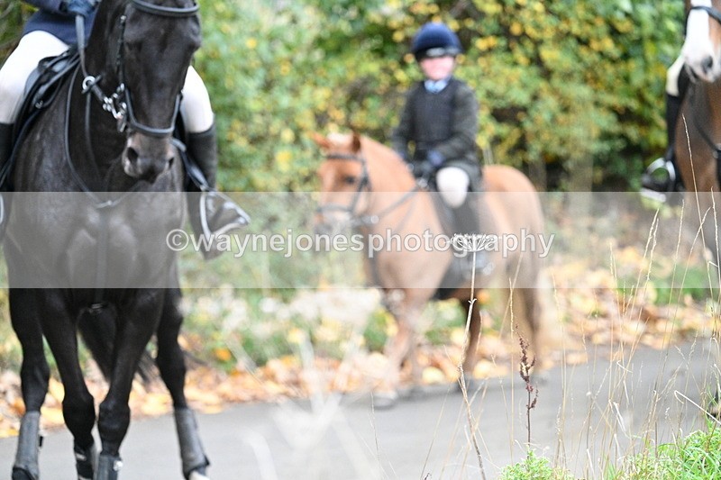 WJ7_7387 - Walk Home..