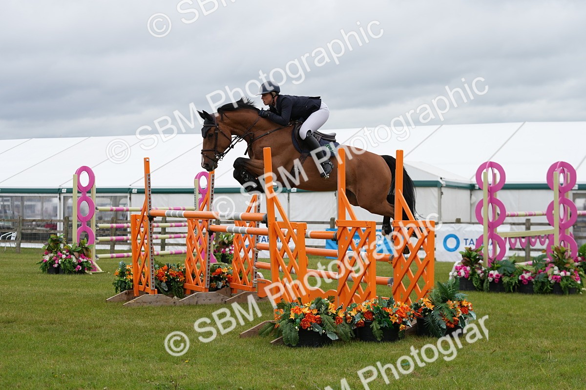 SBM_03250 - Class 201 - British Horse Feeds Speedi Beet Horse of the Year Show Grade  C