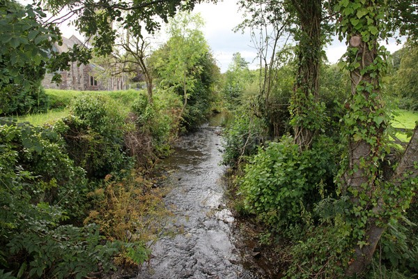 Dartmoor _ DR 23 - Dartmoor, Devon