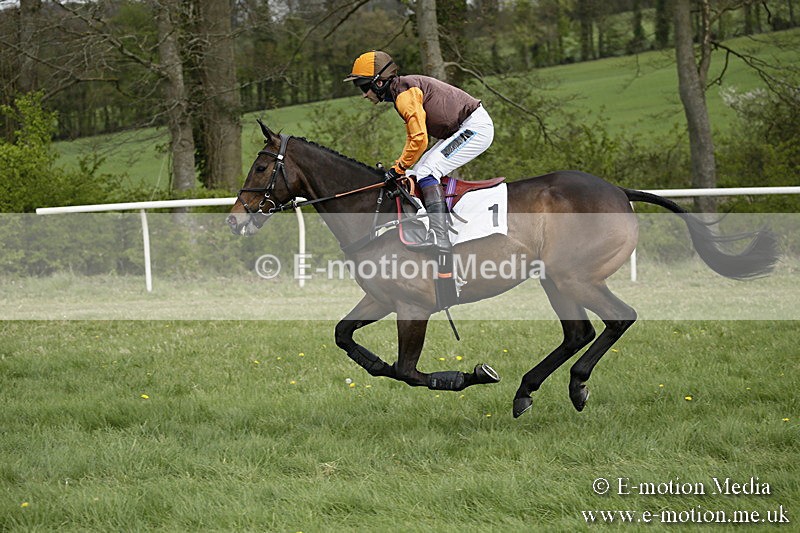 PtP 170417 156 - Old Berks Point-to-Point Lockinge 17/04/17