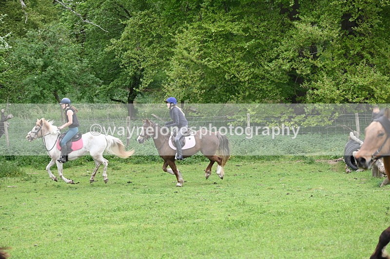WJ6_3349 - A camera