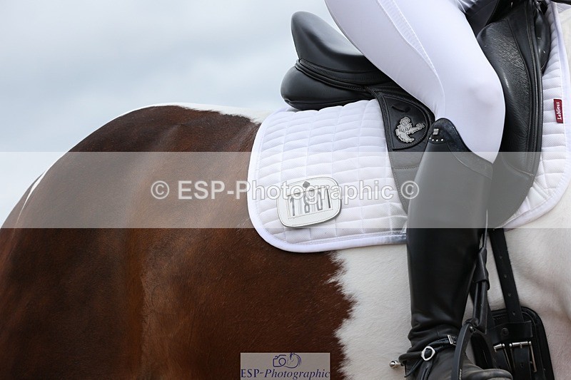 250622-110852-15005 - Cls 47 Novice 5, Start to 11.30am