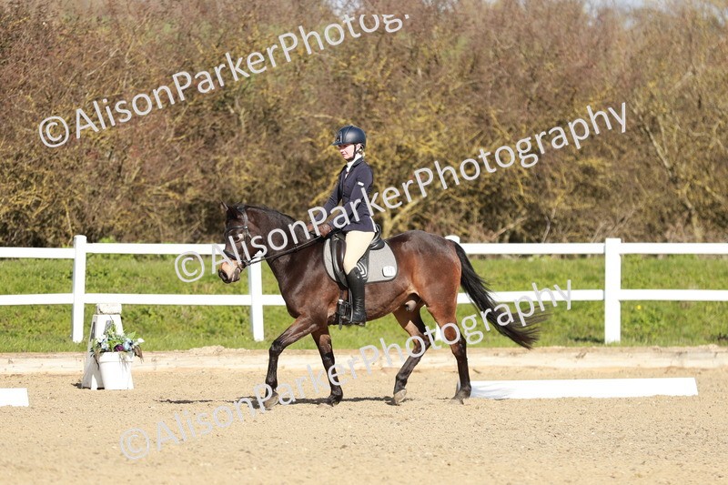 20260314-4319 - DR4 - Prelim 2