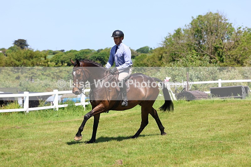 3E7A7250 - Class 30: Novice Working Hunter