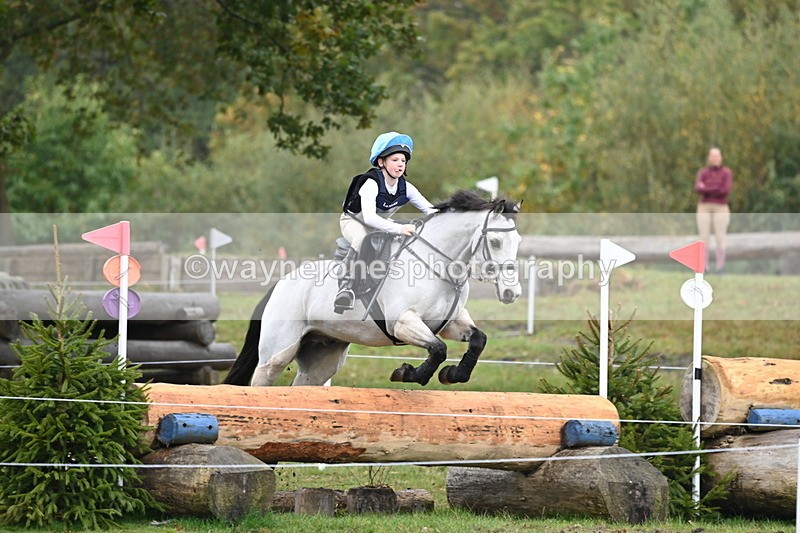 WJ6_2228 - 80cm Cam 1 Time 10:47 to 11:22