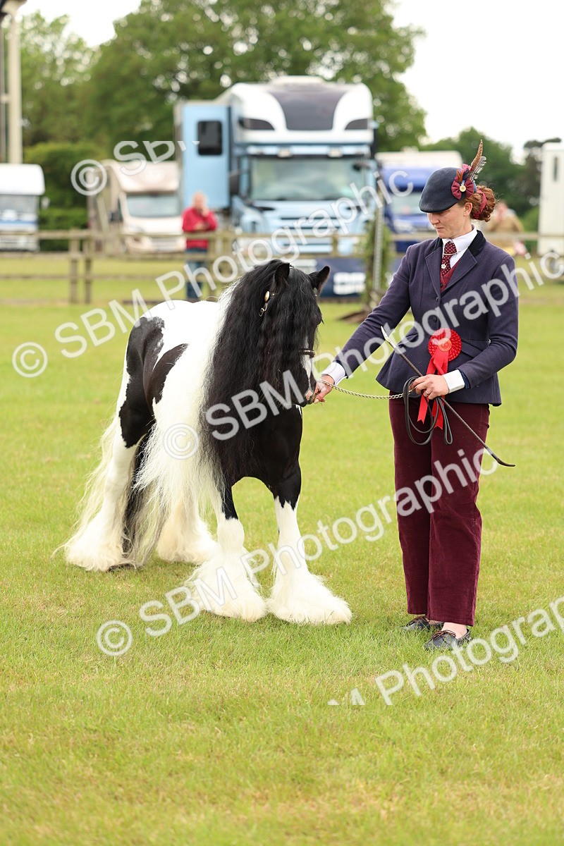 SBM_06349 - Class 39-41 TGCA In Hand and Ridden