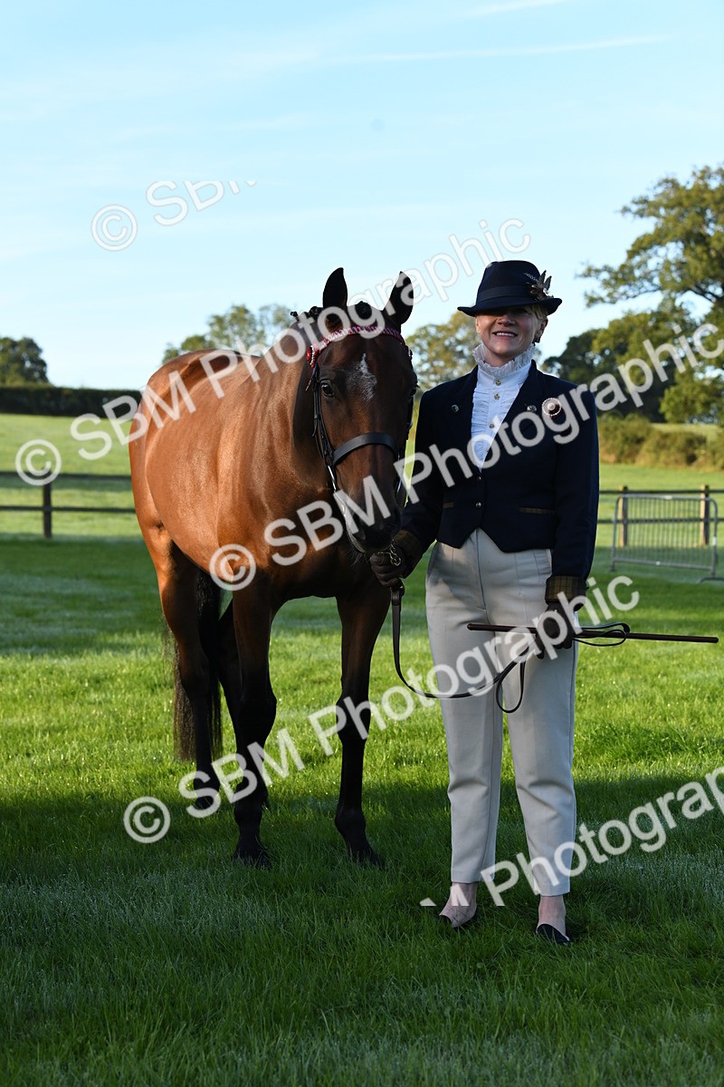 SBM_32656 - S15 - Condition & Turnout In Hand