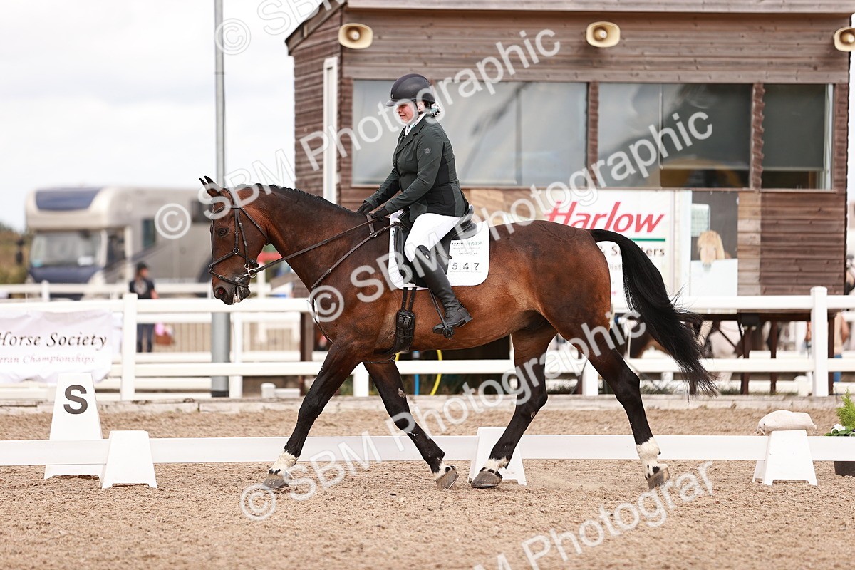 SBM_06353 - Class 37 - Novice 5