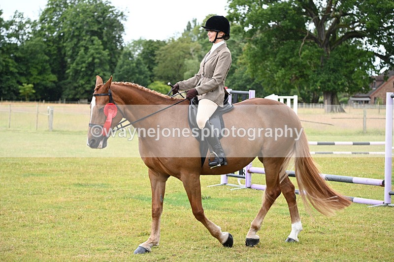 WJ6_8631 - Class 9 Tack & Turned out