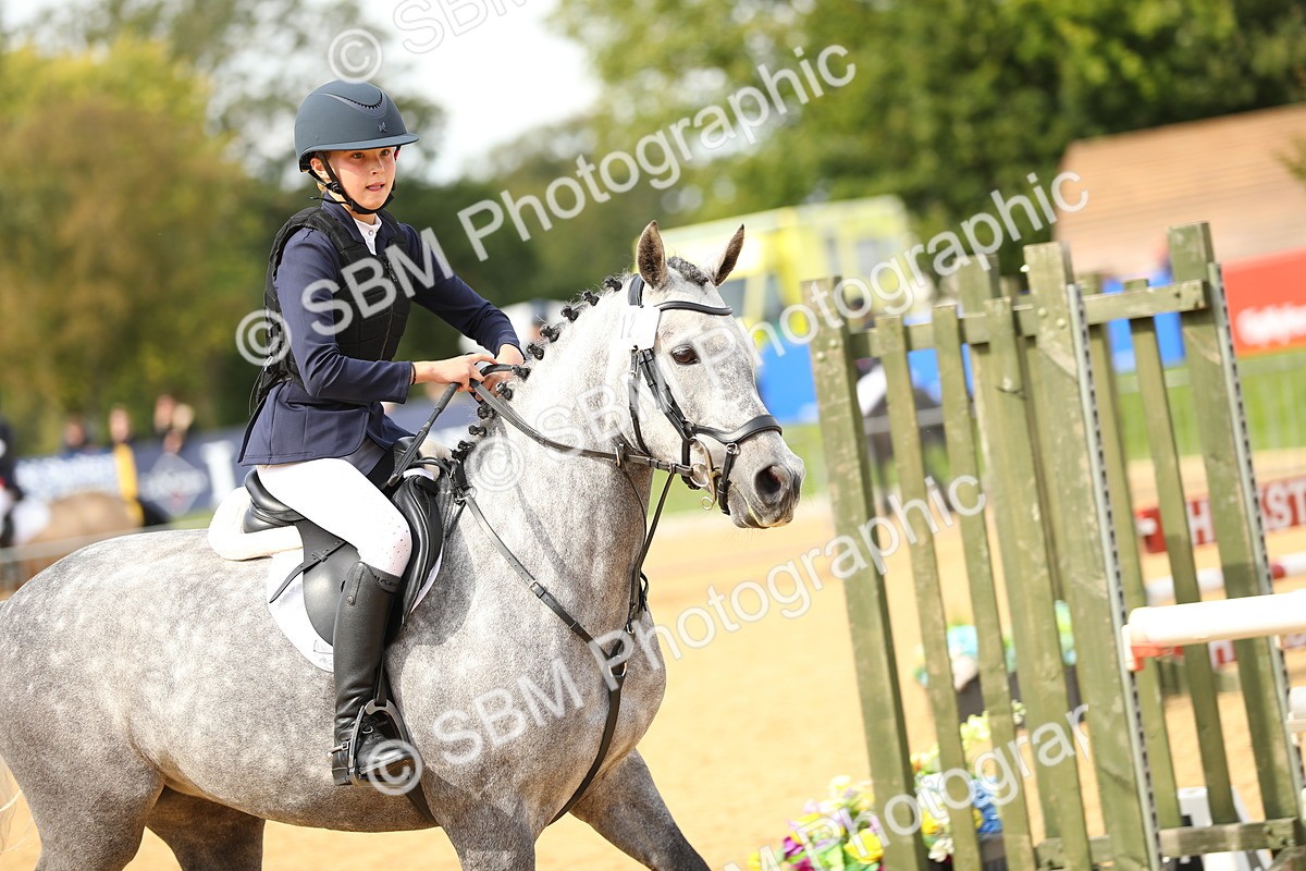 SBM_67210 - J17 - Junior Pony 80cm Championship