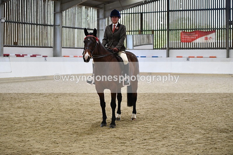 WJ5_6297 - Class 9 Ridden Veteran