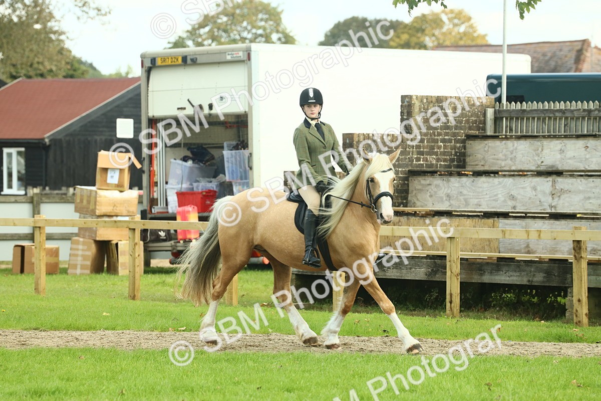 SBM_62649 - S63 - Other Coloured Horse Ridden