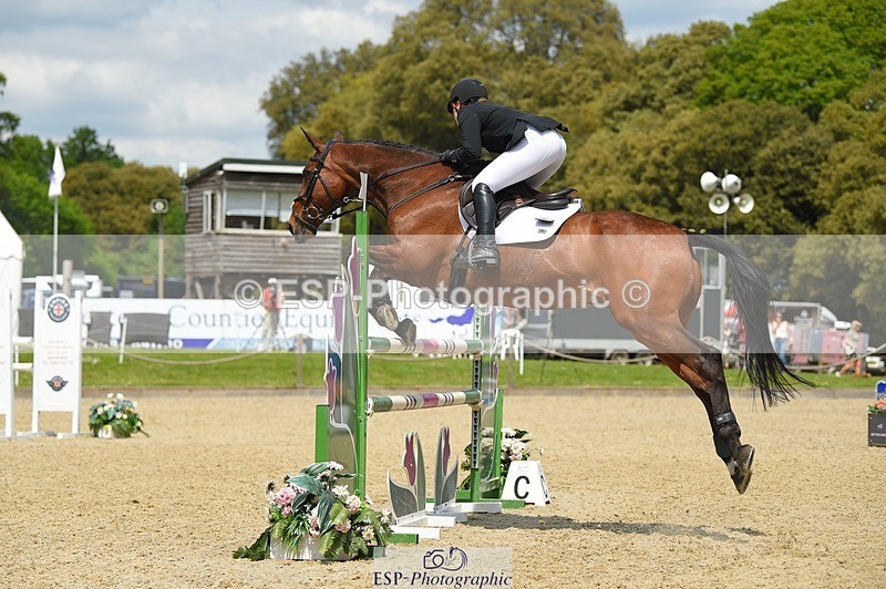 230528-141510-18537 - 103-CLOUDED_LEOPARD-Jessica_Coombes-SUNTrotUp+SJ