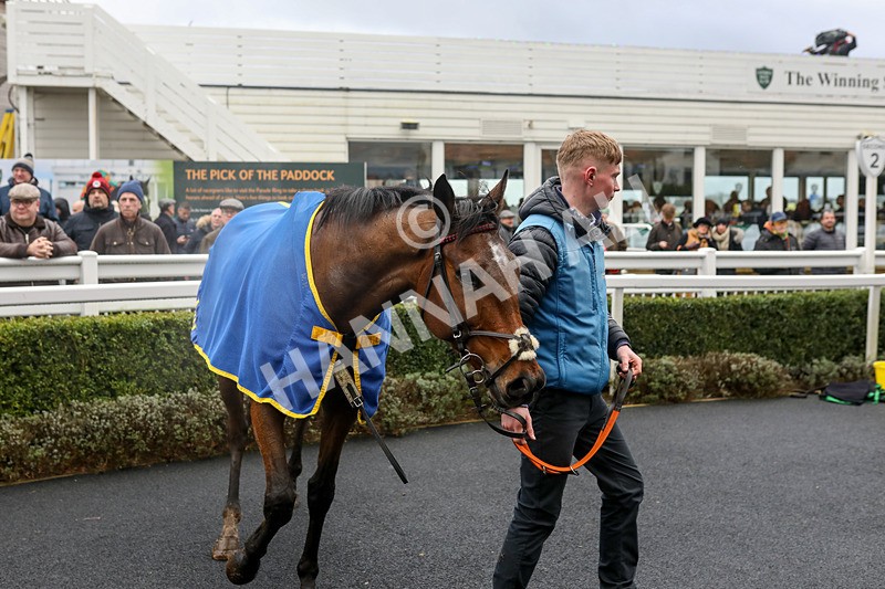 281223-Race 1-Trac-3065 - Race 1