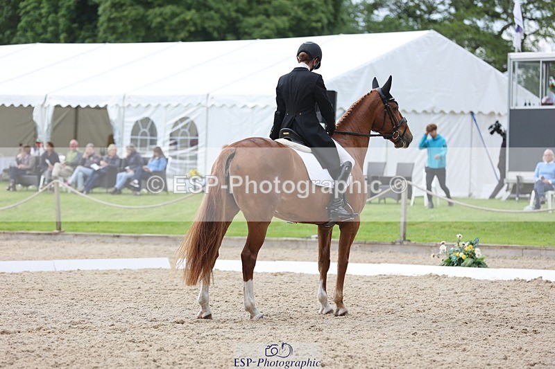 240524-155051-09992 - 367-CROSSTOWN_FINTANS_LAST-Catherine_Burrell