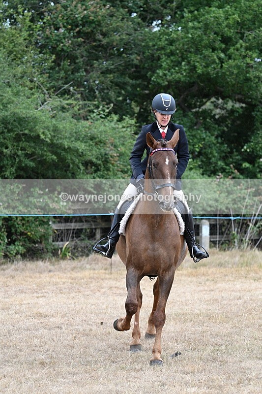 WJ7_0838 - Class 7 Riding Club Show Horse