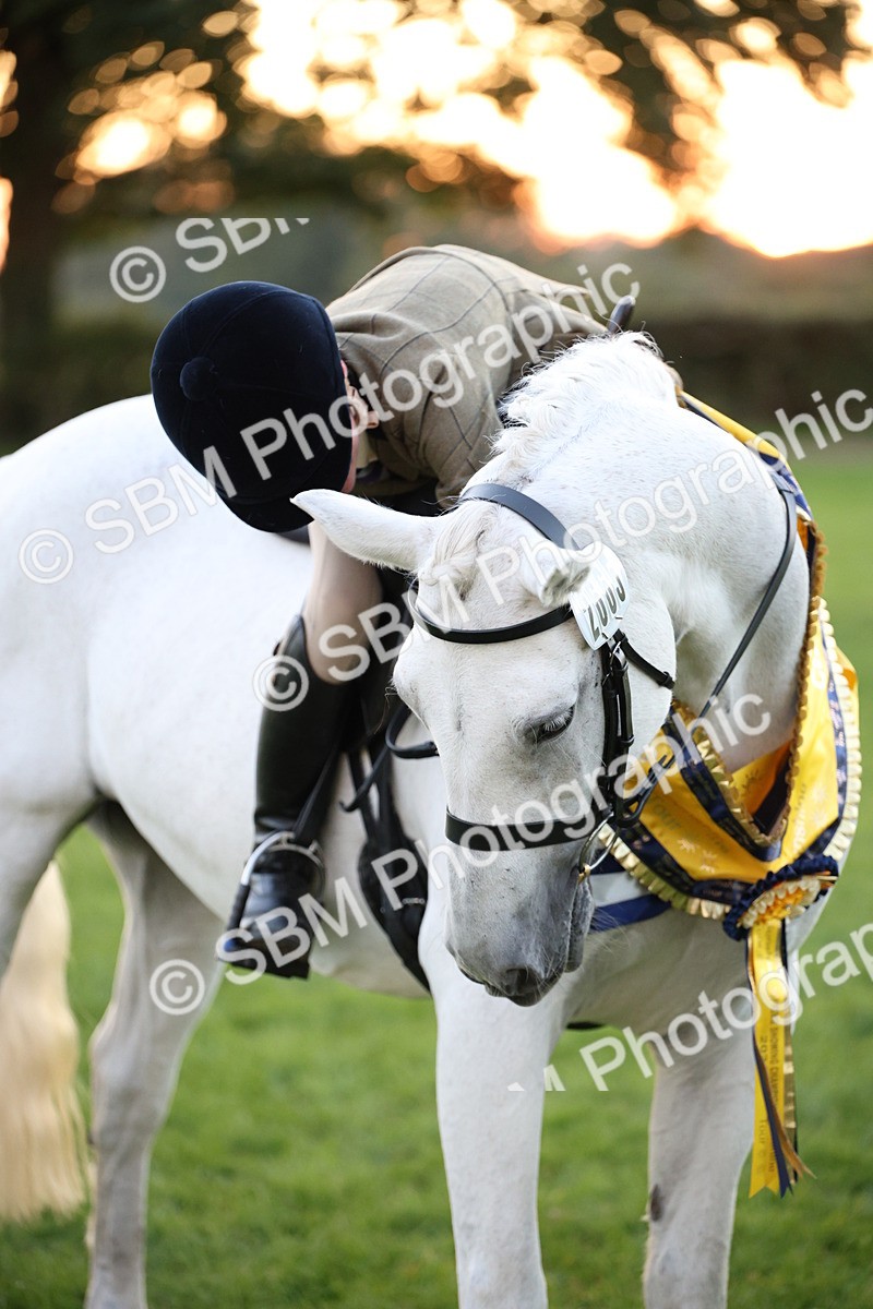 SBM_57122 - Super Supreme Championship