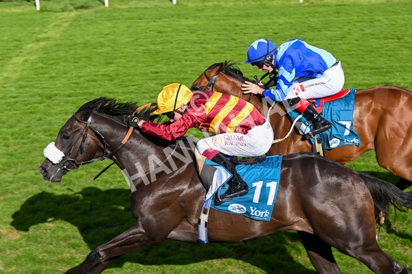 240824-Race 6-Tropical Storm-1865 - Race 6 4.45pm Julia Graves Roses Stakes