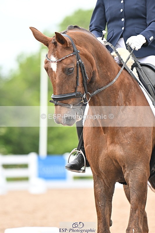 240621A-151547-04675 - Cls 13 BD Adv Medium 91