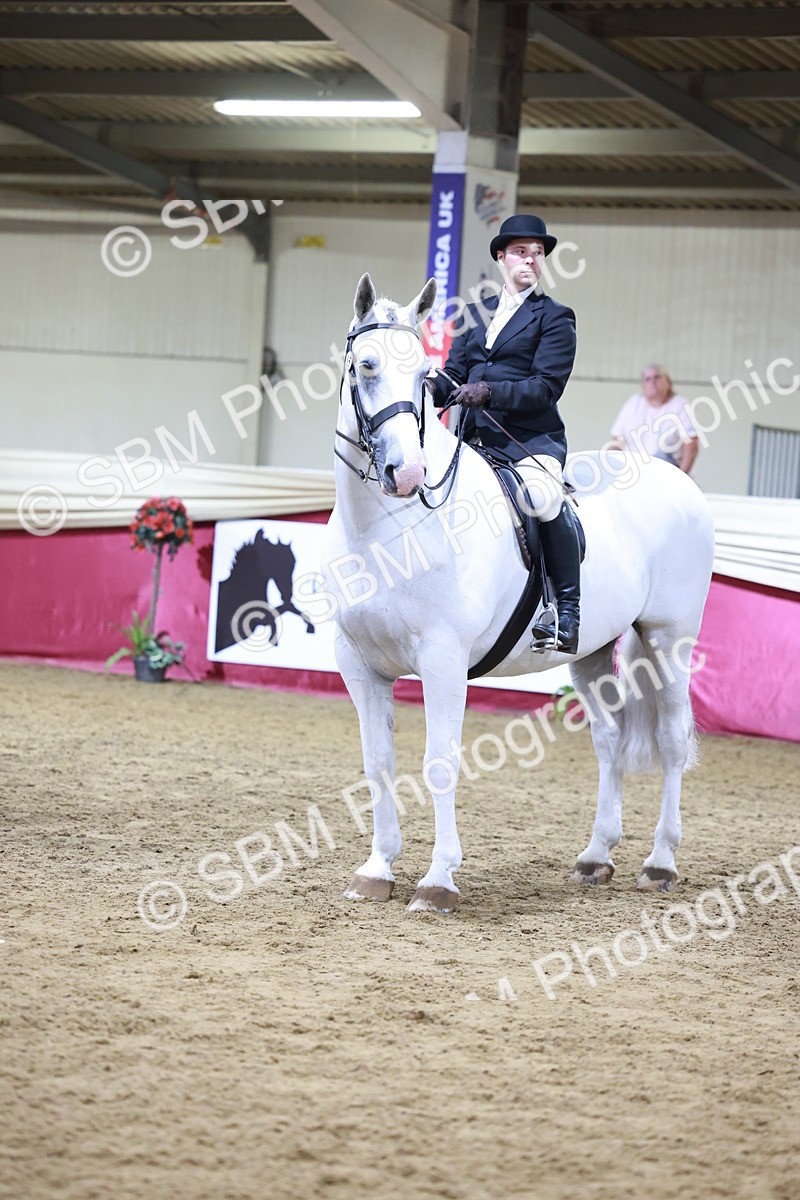 SBM_21156 - class Q - Ridden Horse Champ