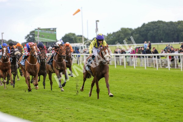 140624-Race 5-Ron O-5715 - Race 5 4.10pm Juddmonte EBF Fillies Restricted Novice Stakes