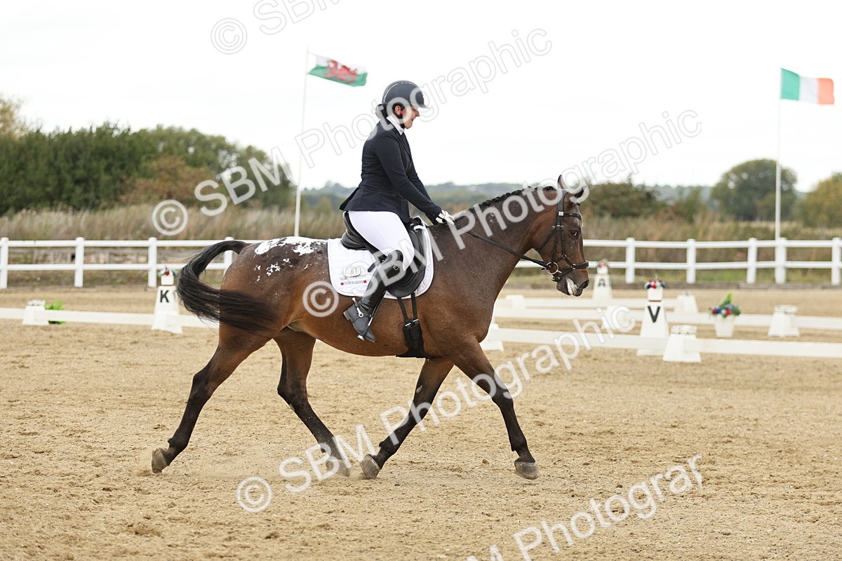 SBM_007003 - Class 21 - Medium 5 Bronze - 10.04-10.52