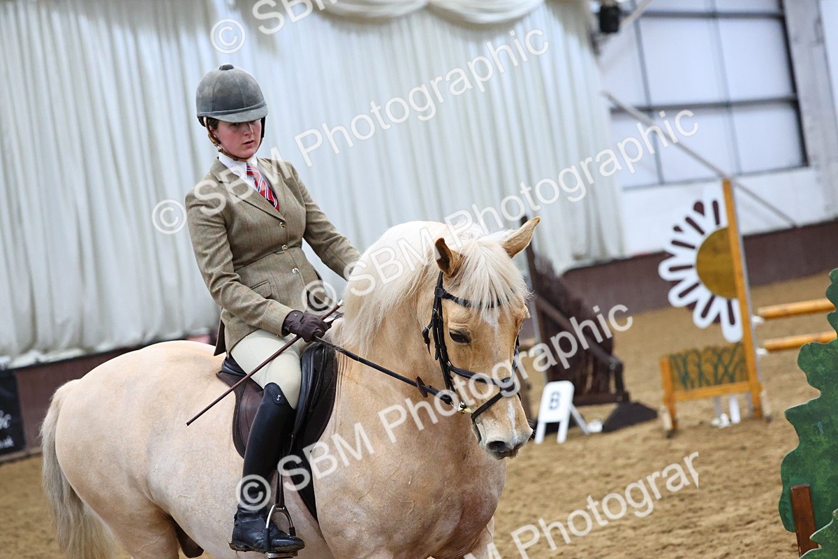 SBM_003664 - Class 37 - 80cm Training Stakes