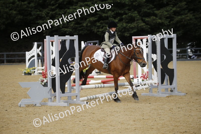 20250622-3598 - 50cm