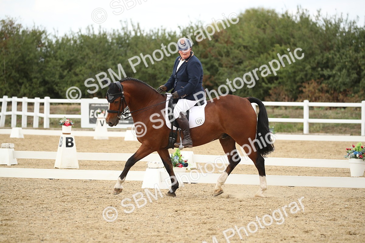 SBM_002964 - Class 6 - Elementary 5 - 14.50-15.46