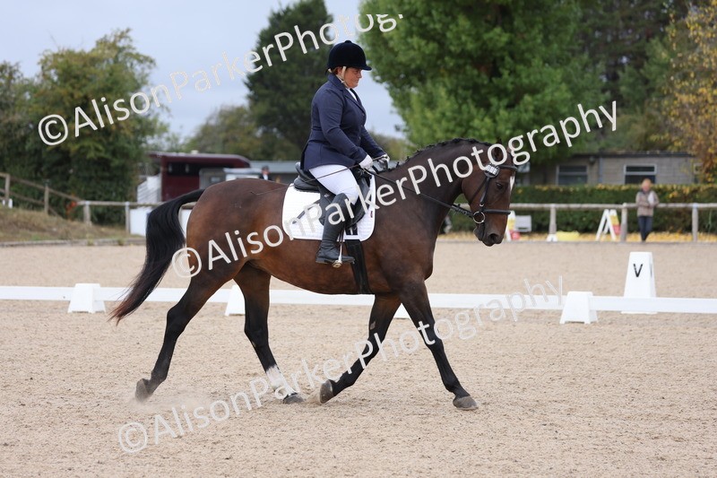 20250820-0083 - Class 7 - My Quest Intro 3