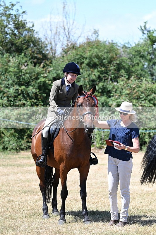 WJ7_3161 - Class 7 Riding Club Show Horse