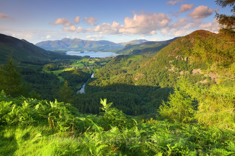View from Castle Cragg looking towards Derwent Water.         ref 5065 - The Pennines and Cumbria