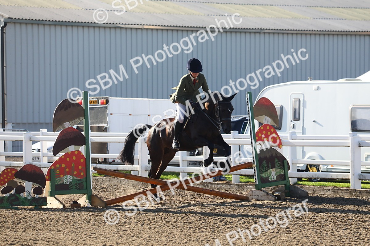 SBM_07892 - Class 501 - Riding Club Pony
