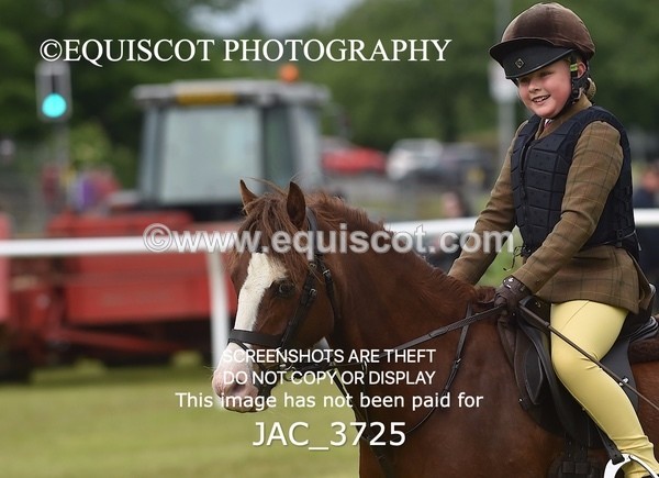 JAC_3725 - 75CM WORKING HUNTER