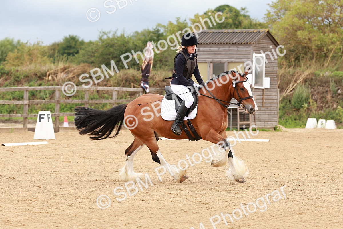 SBM_002234 - Prelim 1