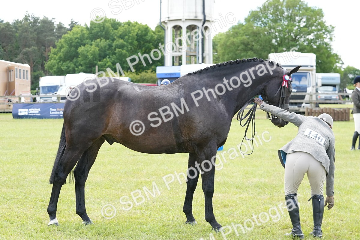 SBM_16204 - Class 105-106 - RIHS Riding Horses