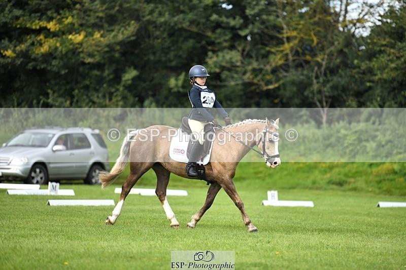 230826-102632-15480 - Sections C & D 10 to End