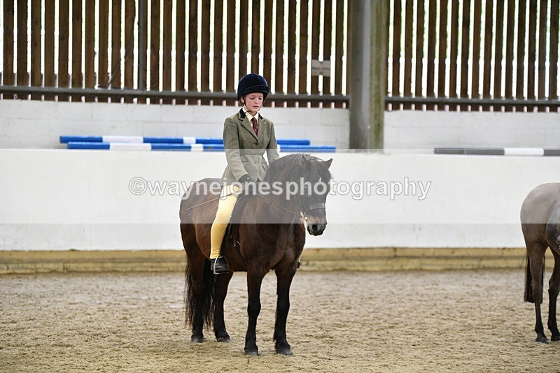 WJ5_7053 - Class 10 Childs Pony
