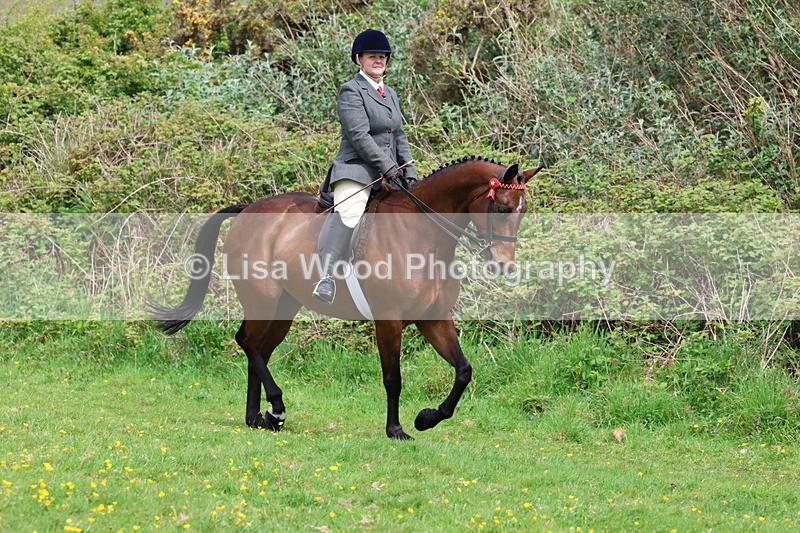 3E7A1698 - Class 9: Riding Club Horse/Pony