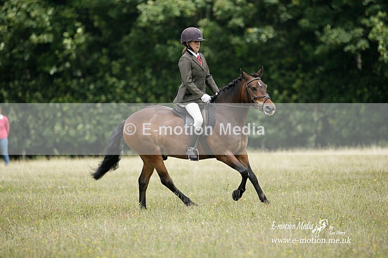 BVRC 030721 406 - Bourne Valley Riding Club Dressage 03/07/21