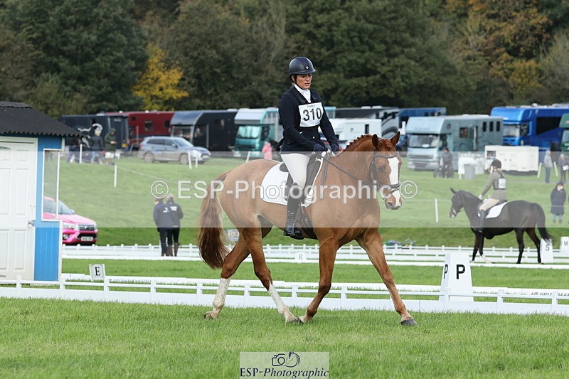 251023A-104847-03234 - D-310-Emily.R.Vincent