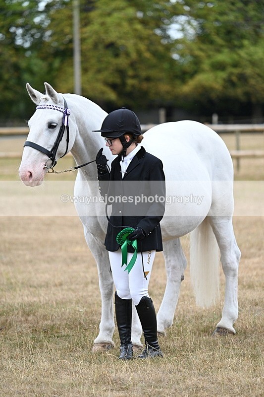 WJ7_9284 - Class 4a Prettiest Mare 14.2hh and over