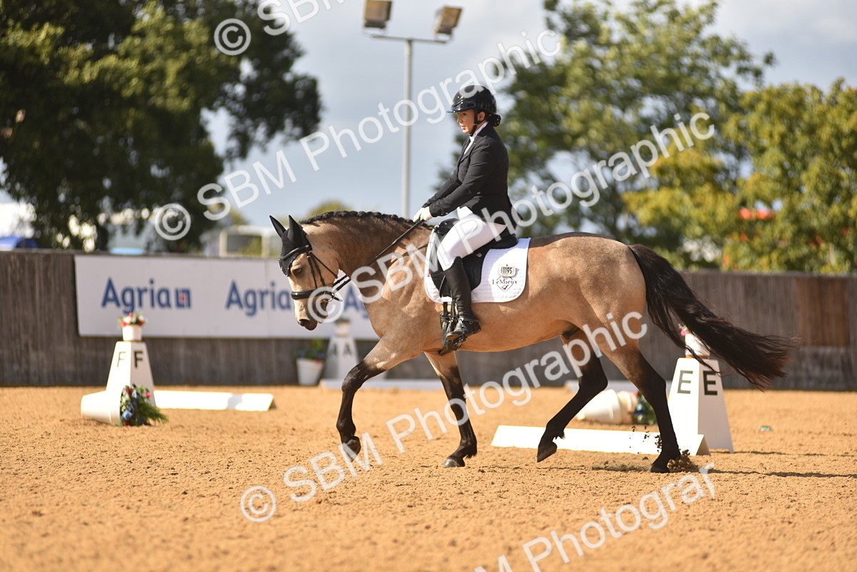 SBM_24275 - D4 - Small Tour Championship Intro 4