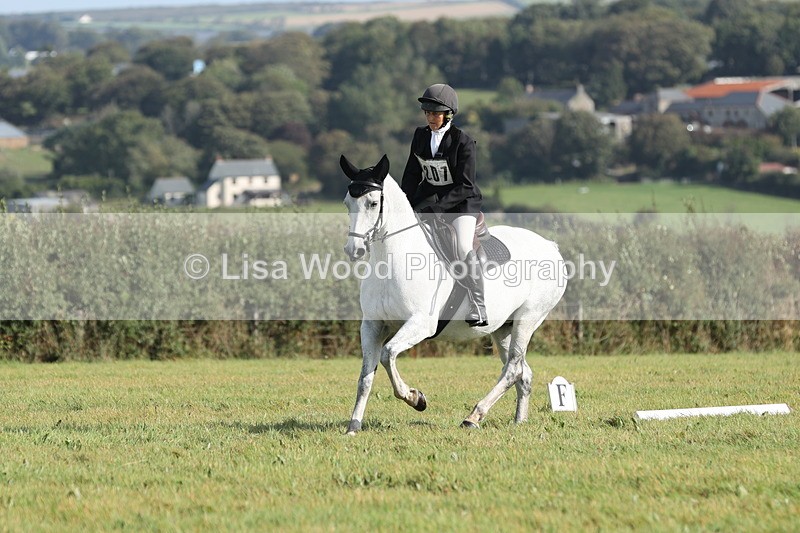 JPP_8082 - Class 2A: Trekenning Open: Dressage