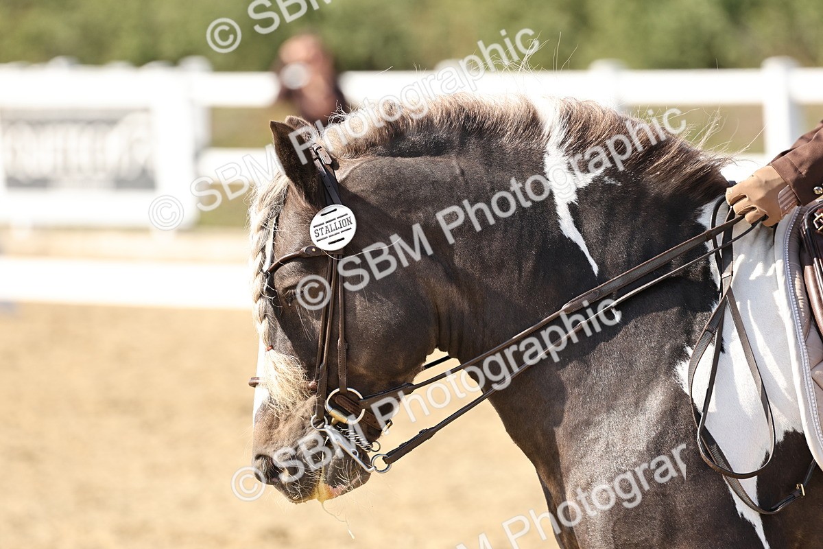 SBM_015272 - Class 9 - Advanced medium 3