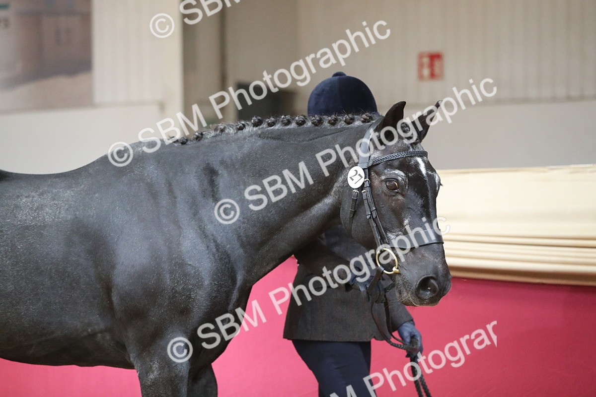 SBM_04301 - Class 7R Regional - IH Diamond